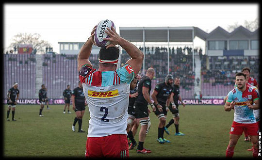 Timisoara Saracens Harlequins